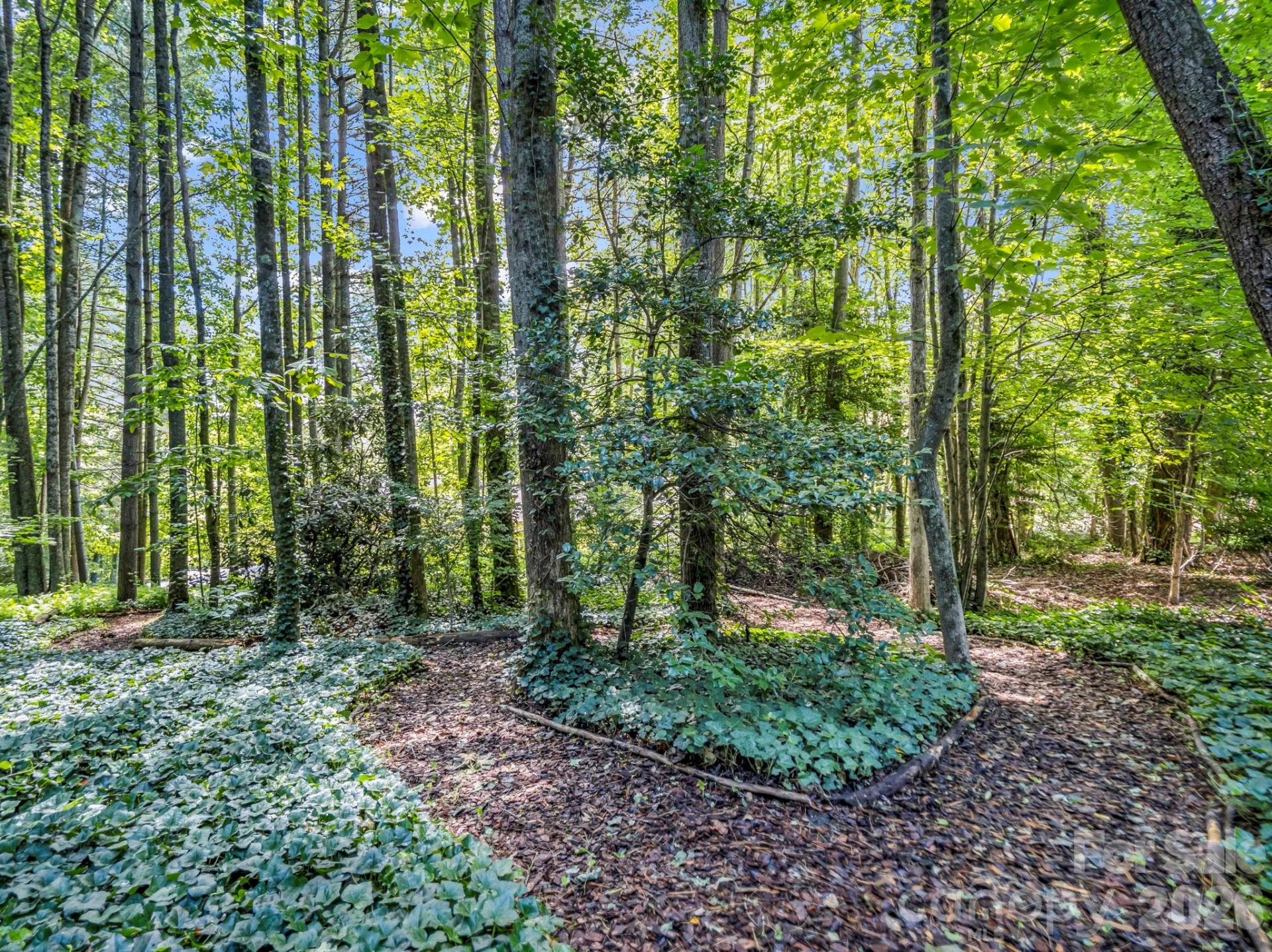 115 Woodhaven Drive - Photo 45
