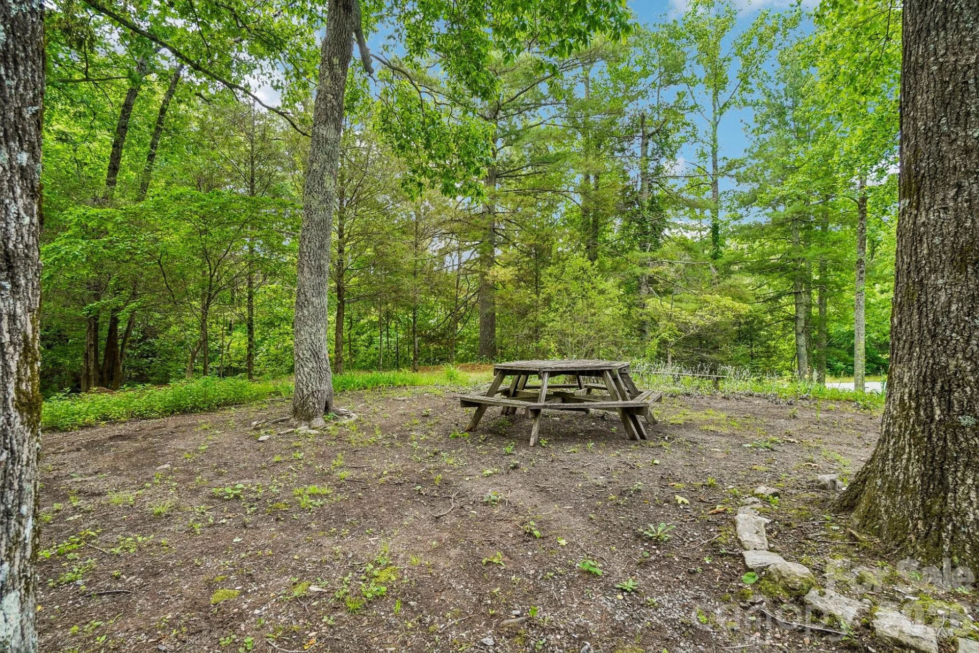 3229 N Bearwallow Road - Photo 27