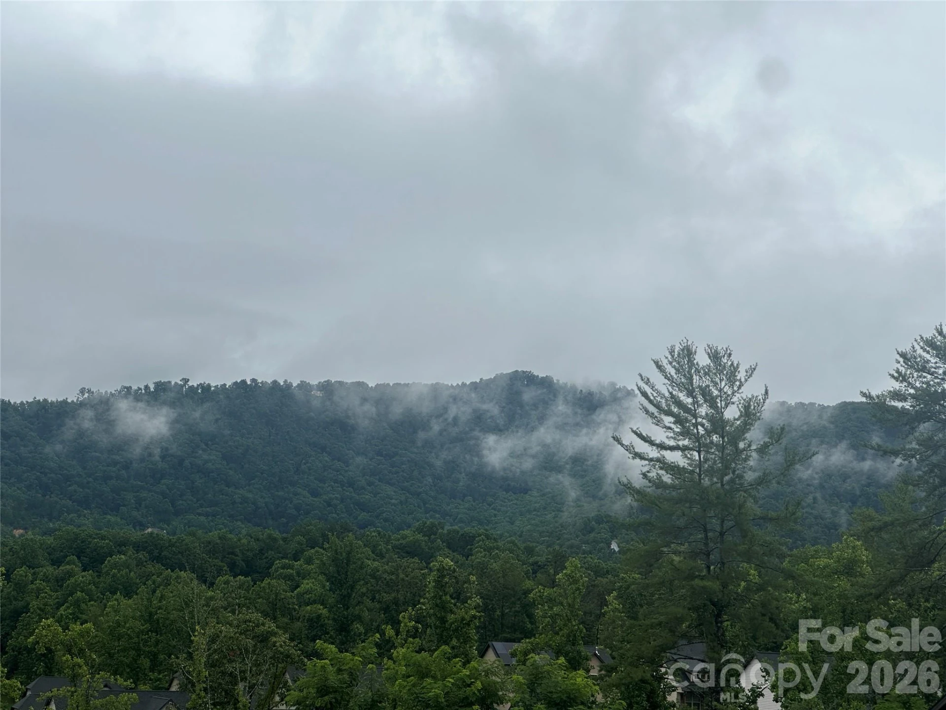 115 Water Leaf Drive - Photo 26