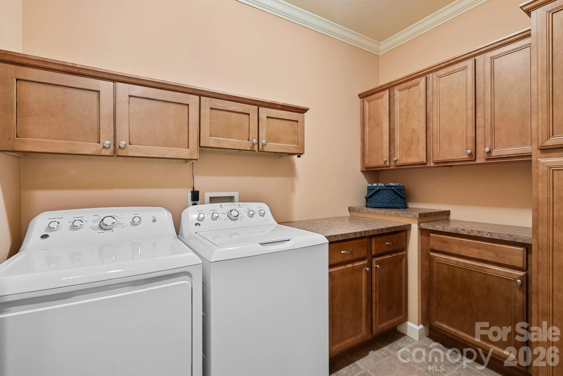 522 Silver Hawk Lane - Photo 28