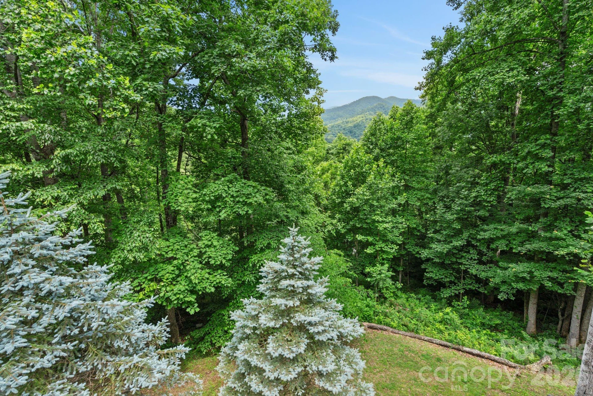 522 Silver Hawk Lane - Photo 43