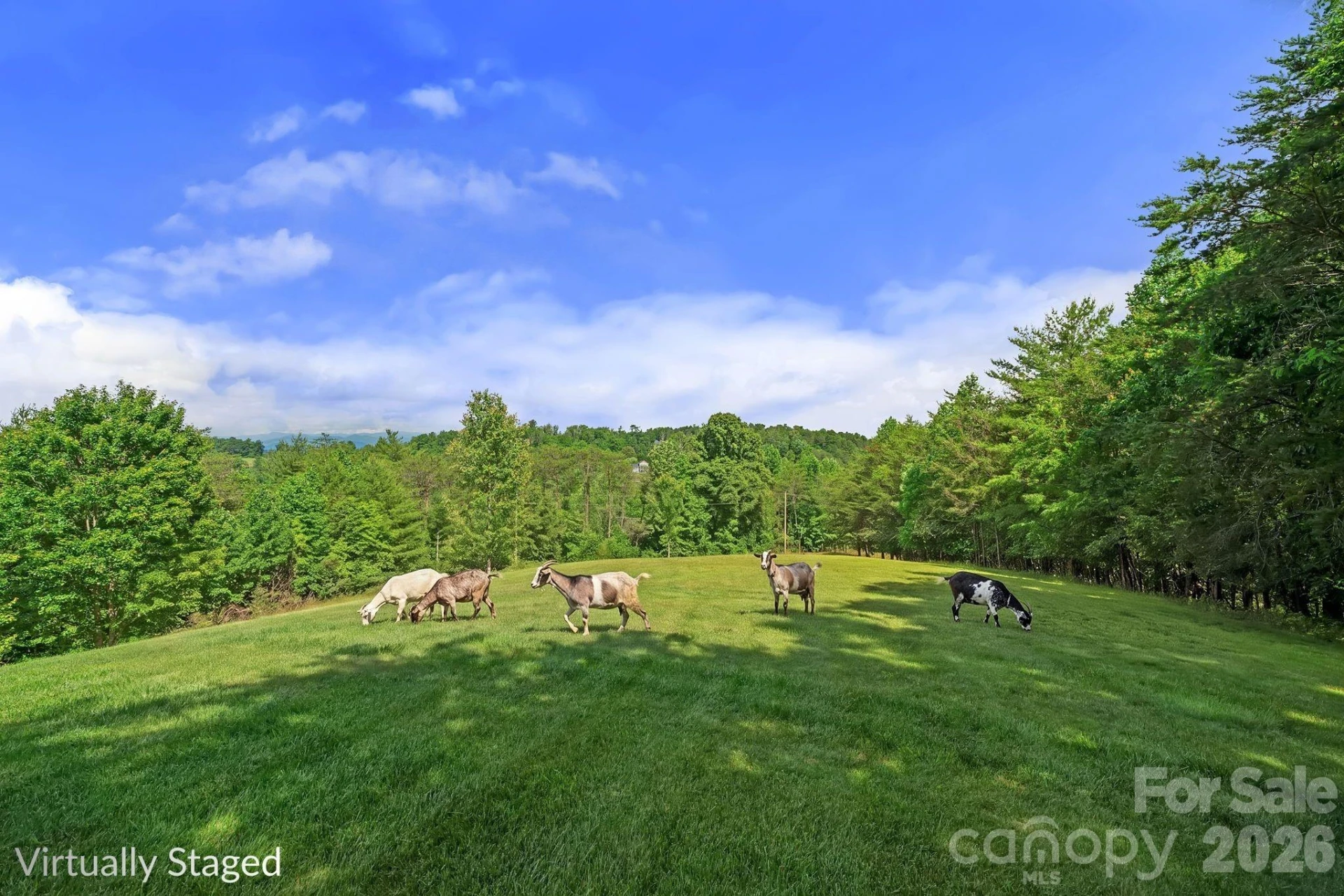 56 Gudger Road - Photo 3