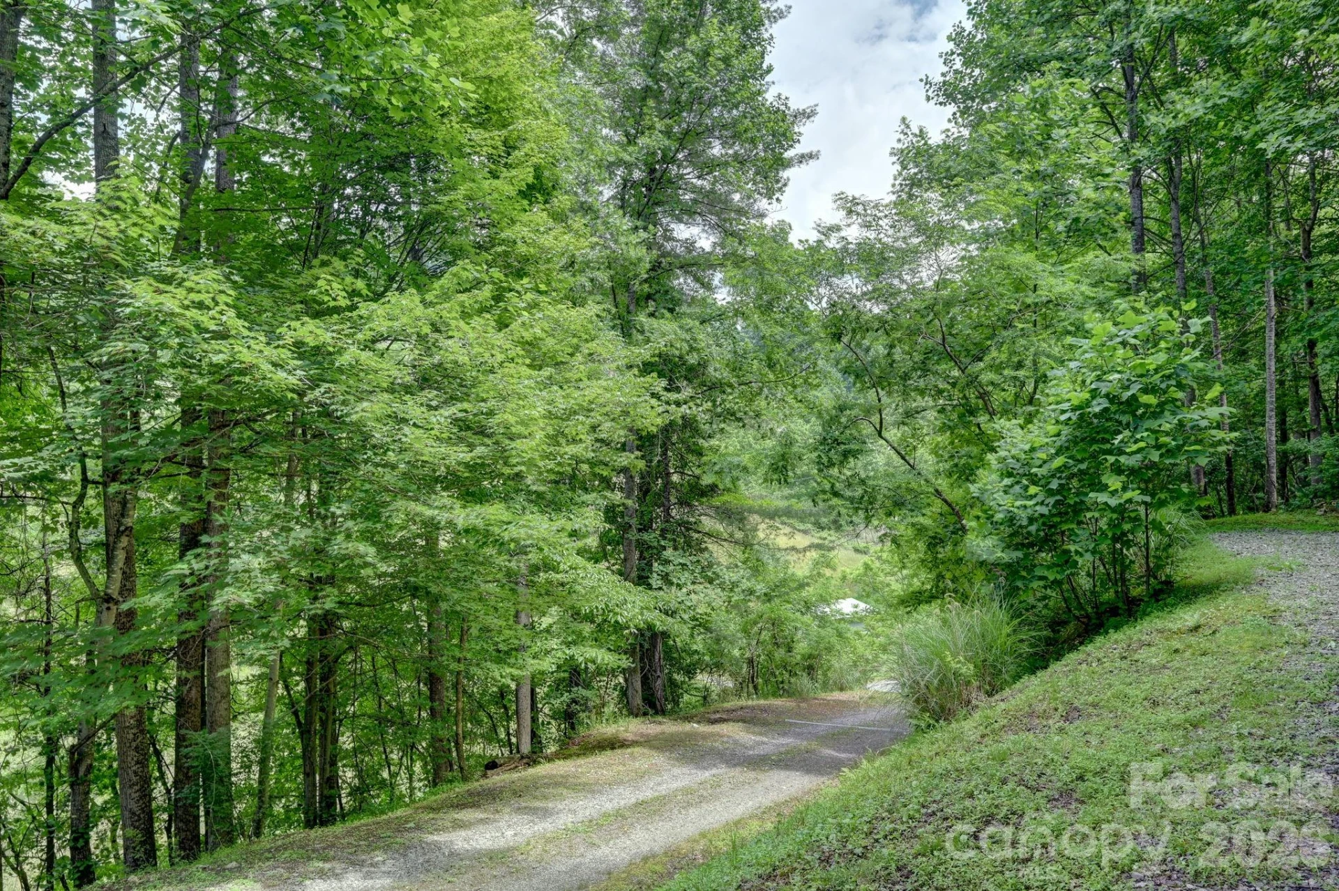 560 Morgan Branch Road - Photo 30
