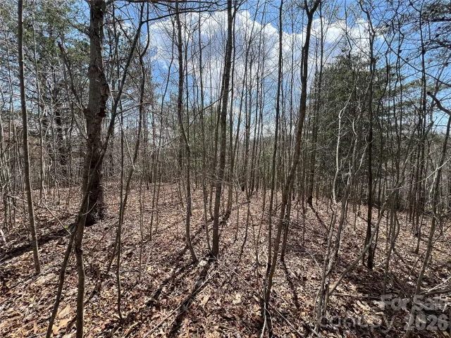 192 Pine Cone Trail