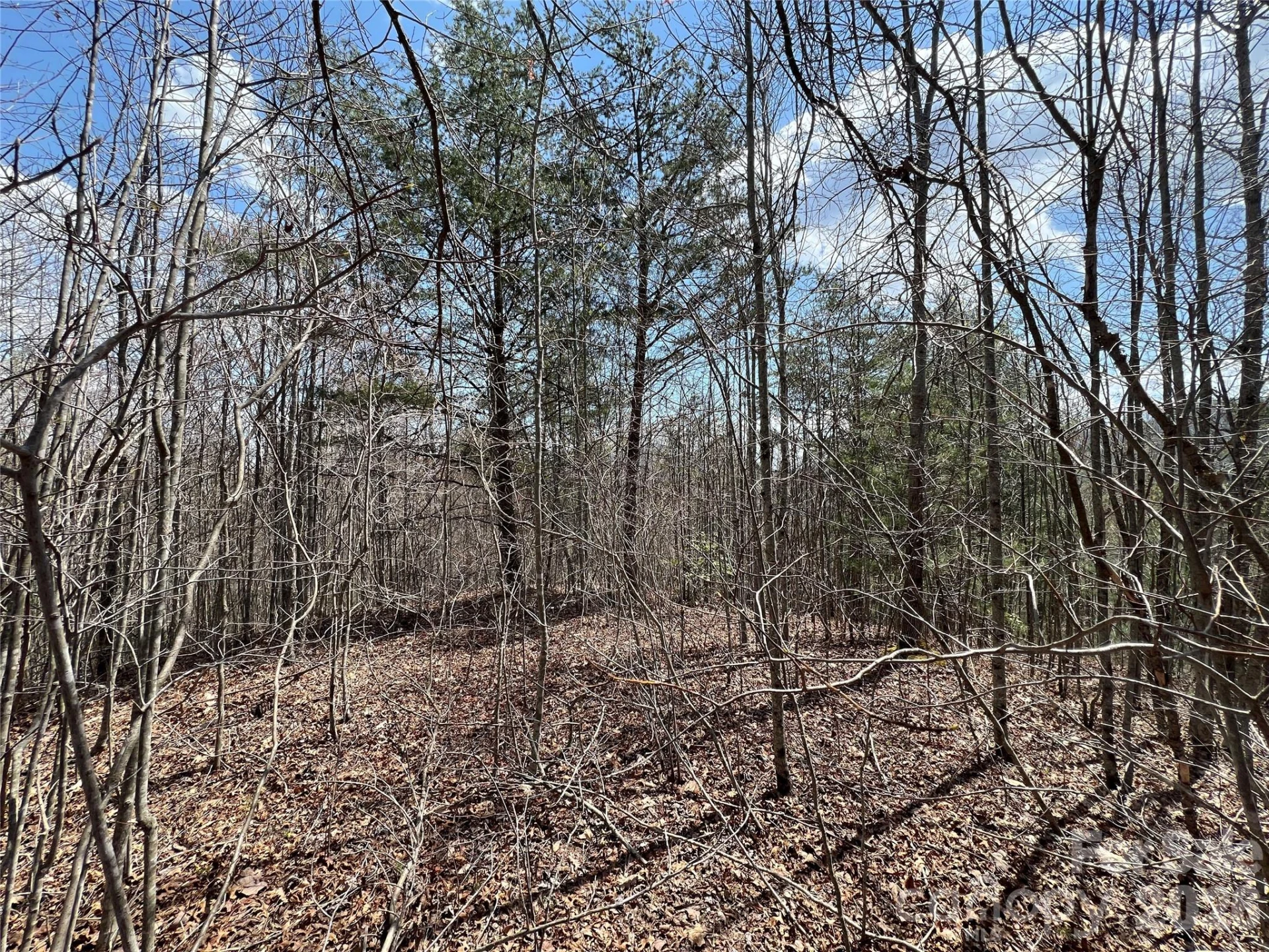192 Pine Cone Trail #21 - Photo 2
