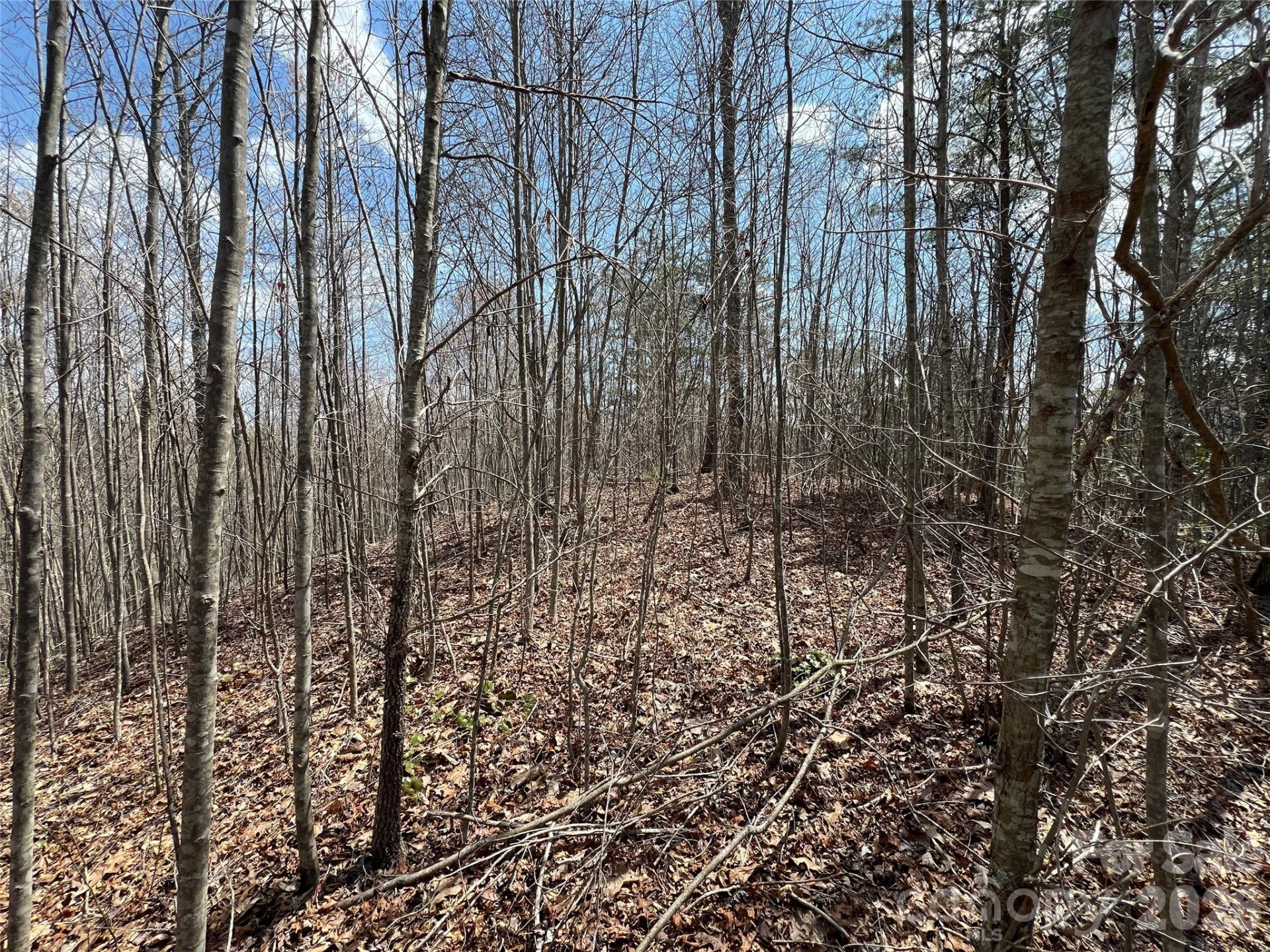 192 Pine Cone Trail #21 - Photo 19