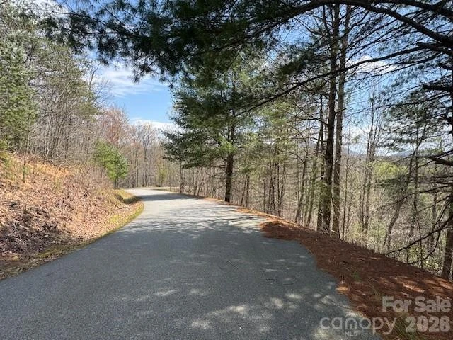 192 Pine Cone Trail #21 - Photo 3
