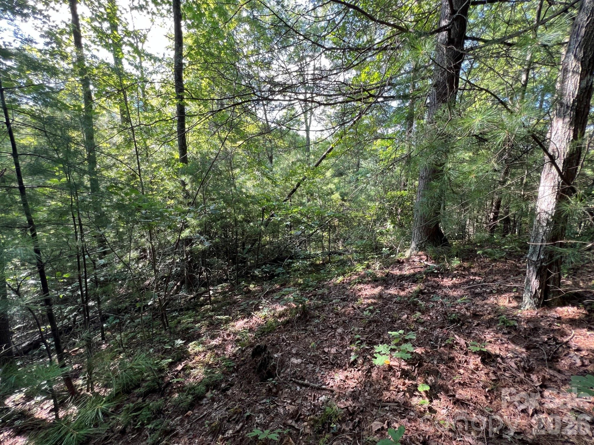 192 Pine Cone Trail #21 - Photo 5