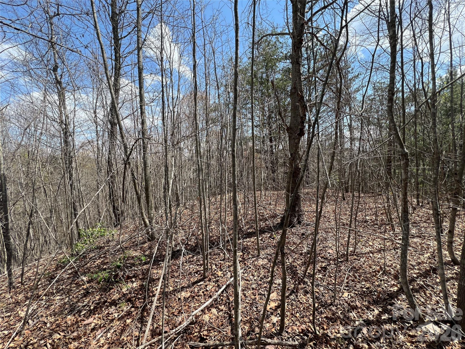 192 Pine Cone Trail #21 - Photo 6