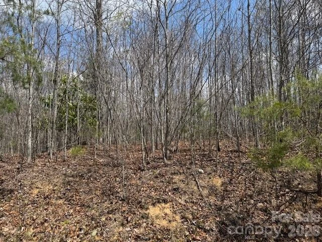 192 Pine Cone Trail #21 - Photo 7