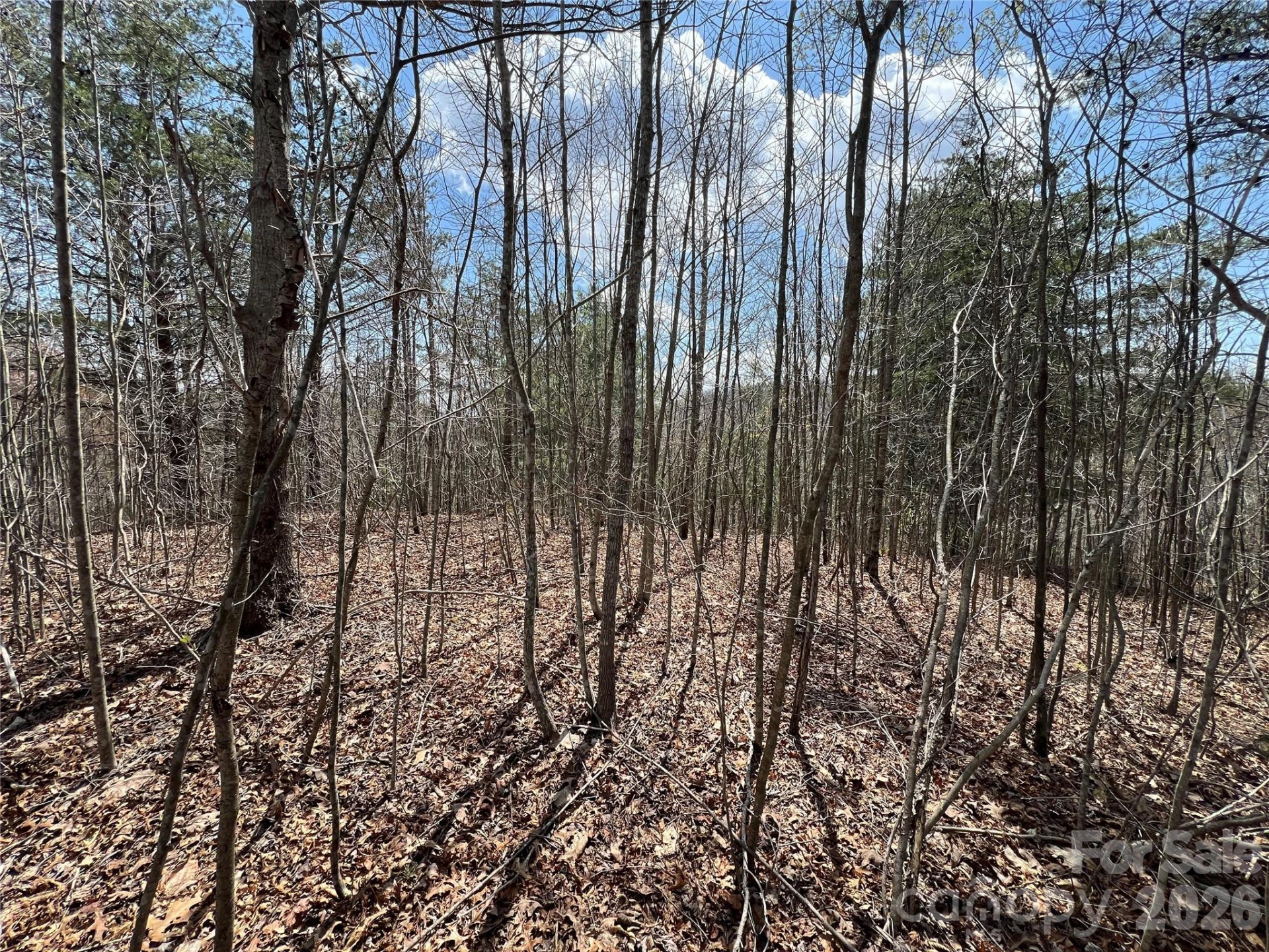 192 Pine Cone Trail #21 - Photo 8