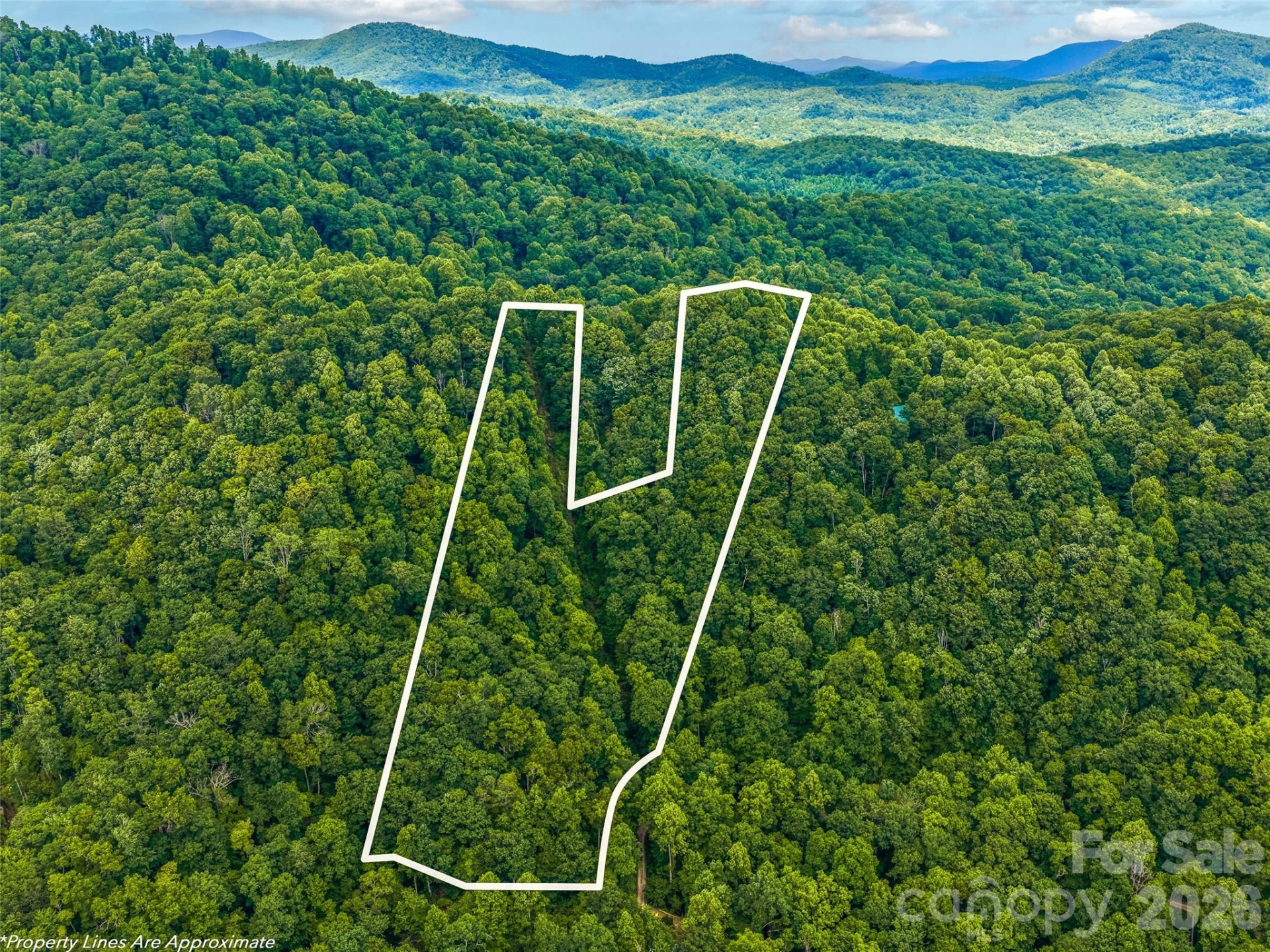 520 Patricia Road - Photo 25