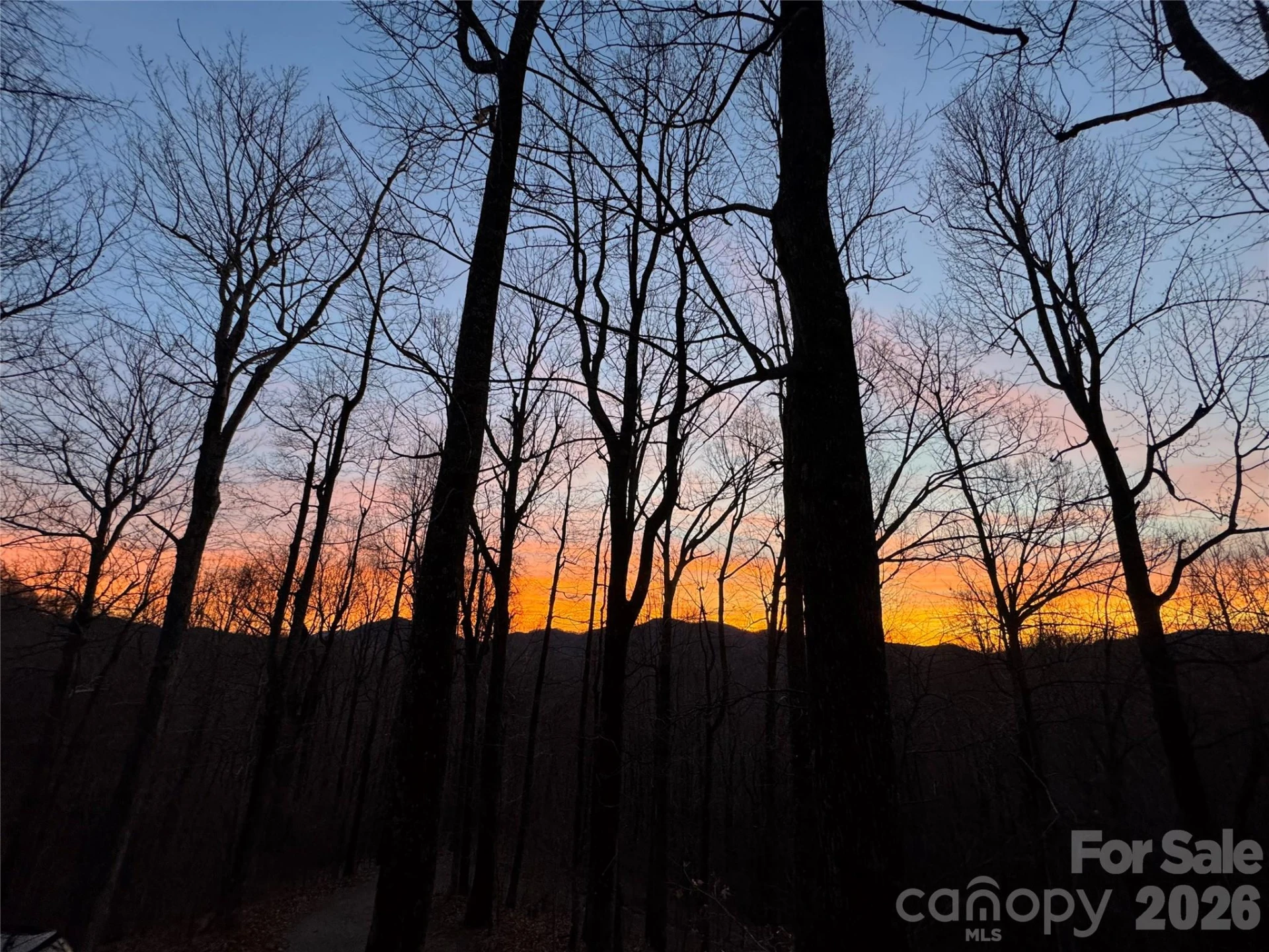 520 Patricia Road - Photo 33