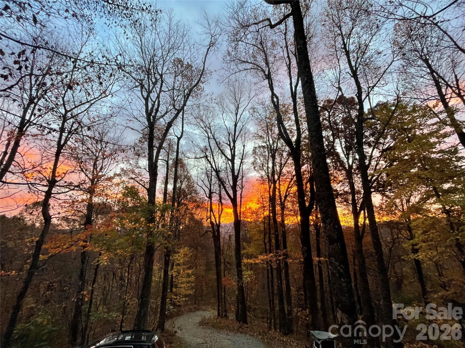 520 Patricia Road - Photo 40