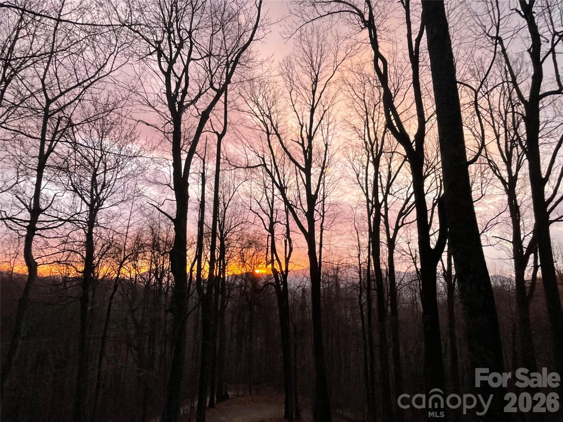 520 Patricia Road - Photo 41