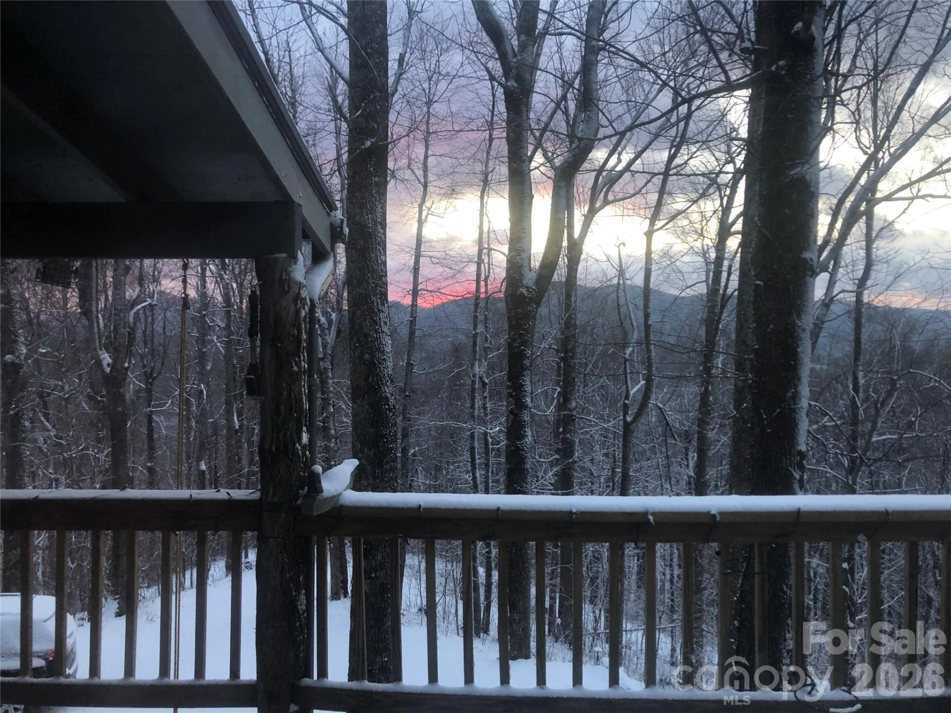 520 Patricia Road - Photo 44