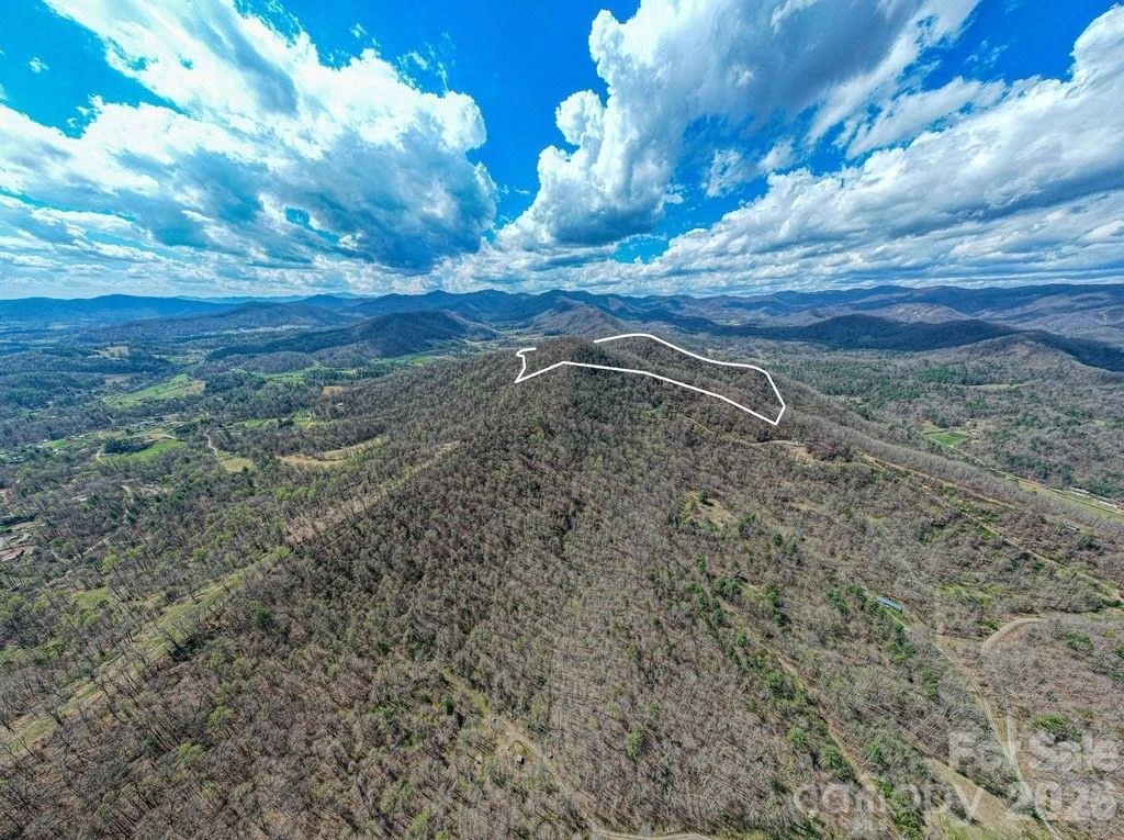 9999 Sandy Mush Creek Road - Photo 2