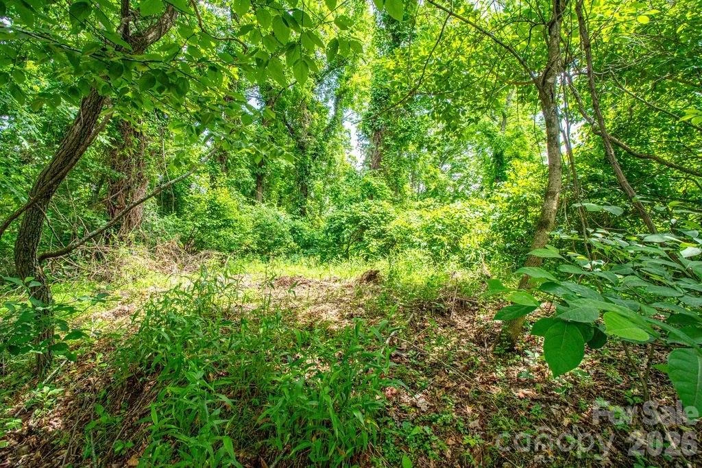 9999 Sandy Mush Creek Road - Photo 3