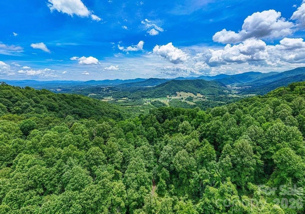 9999 Sandy Mush Creek Road - Photo 4