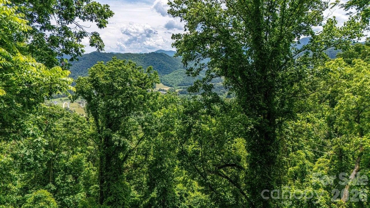 9999 Sandy Mush Creek Road - Photo 5