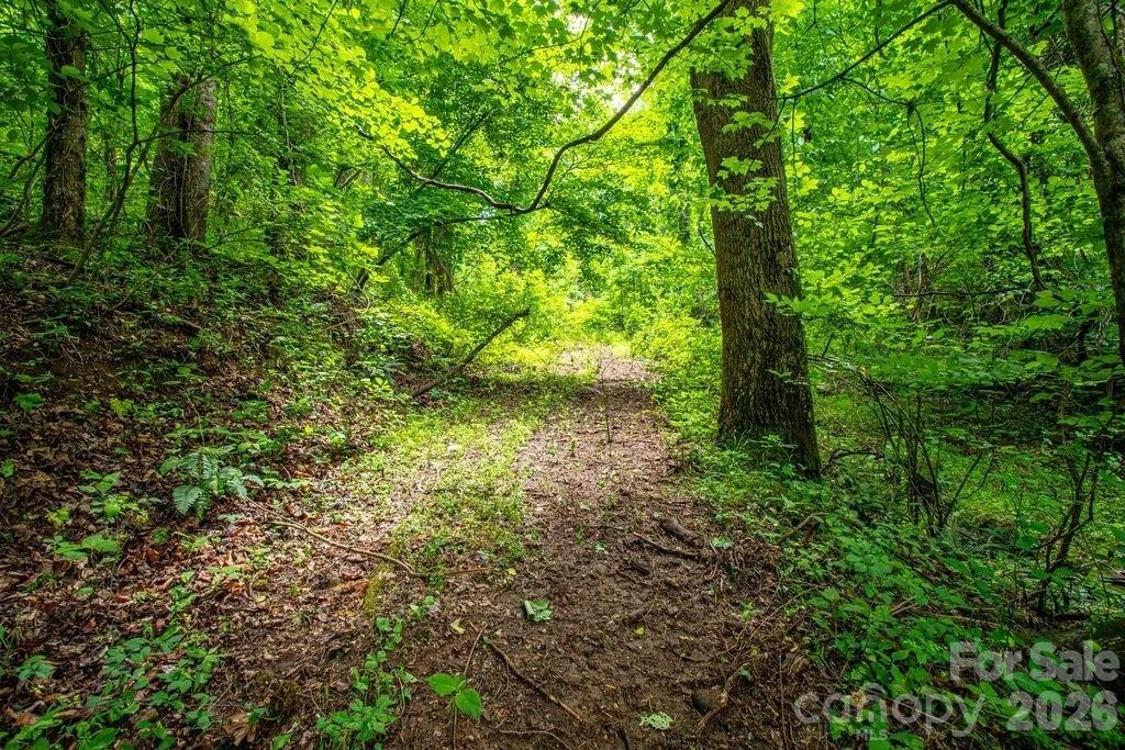 9999 Sandy Mush Creek Road - Photo 6