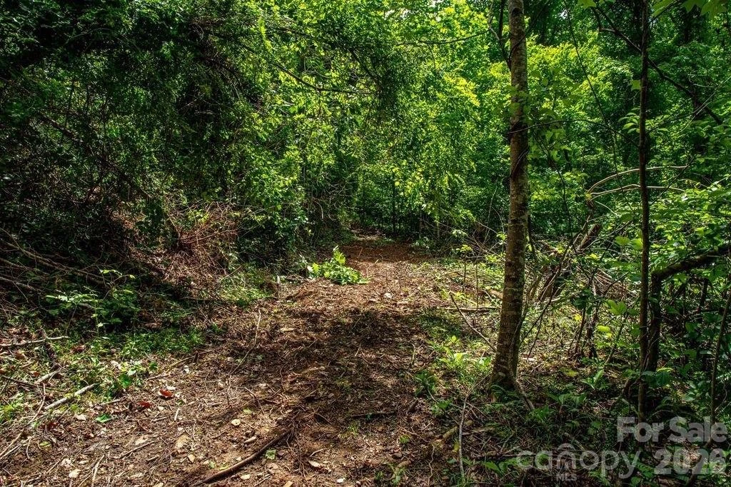 9999 Sandy Mush Creek Road - Photo 8