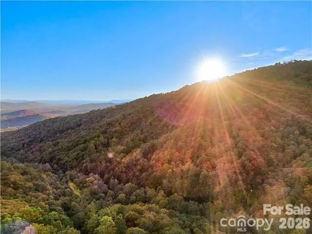 99999 Red Oak Forest Road, Fairview, NC, 28730