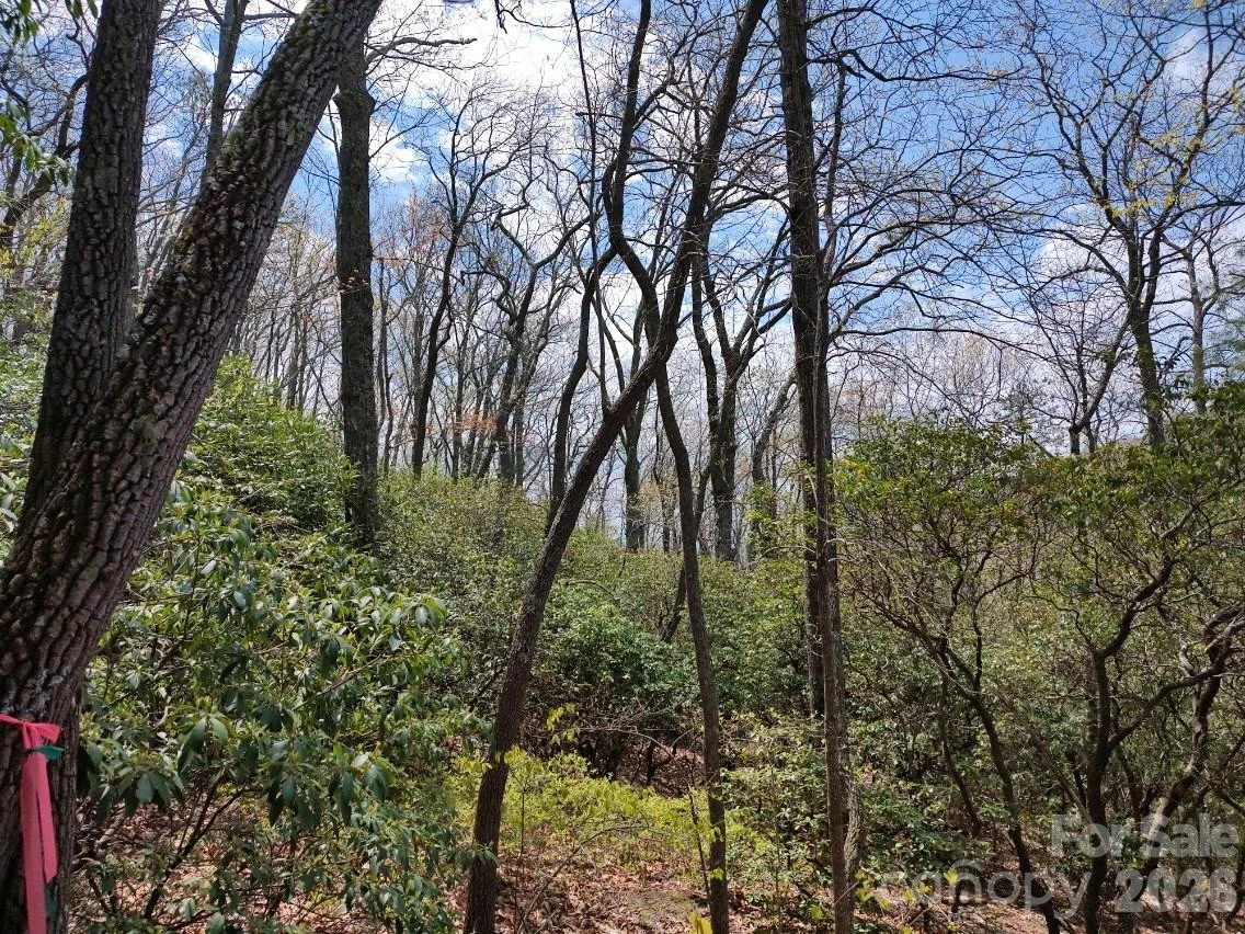 99999 Red Oak Forest Road #1418 - Photo 2