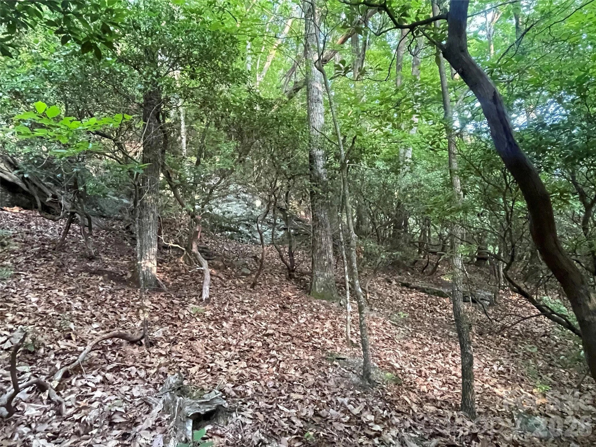 99999 Red Oak Forest Road #1418 - Photo 14
