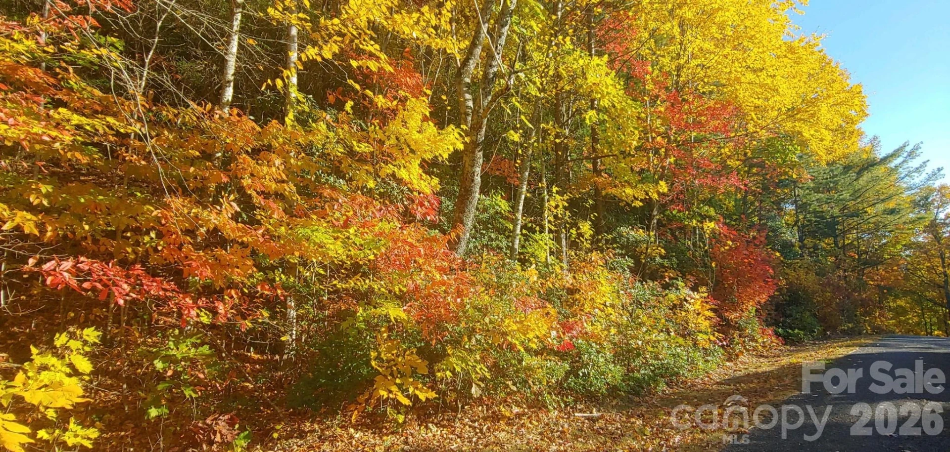 99999 Red Oak Forest Road #1418 - Photo 16