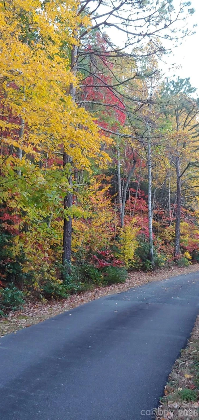 99999 Red Oak Forest Road #1418 - Photo 17