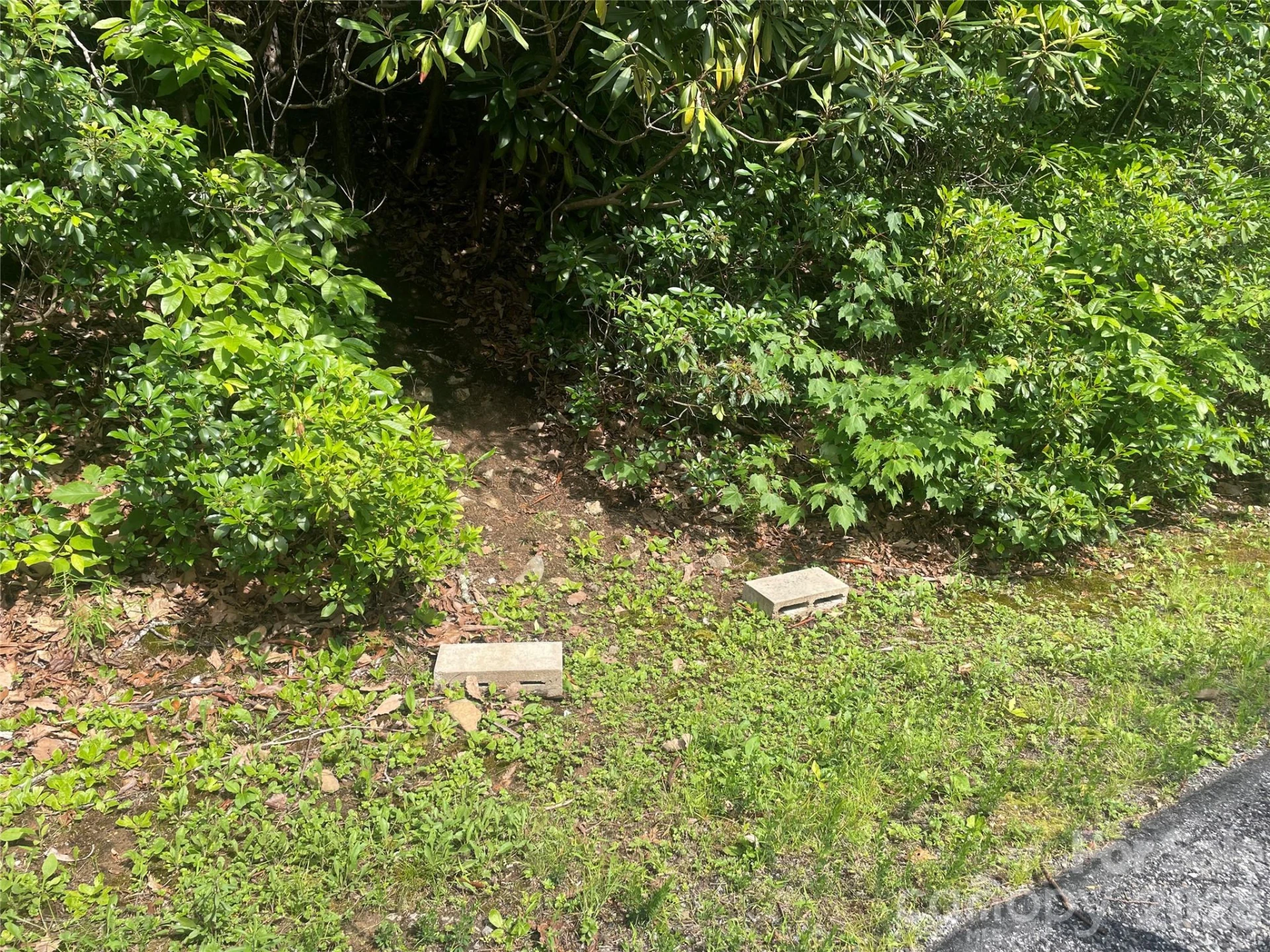 99999 Red Oak Forest Road #1418 - Photo 3