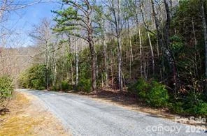 99999 Red Oak Forest Road #1418 - Photo 5