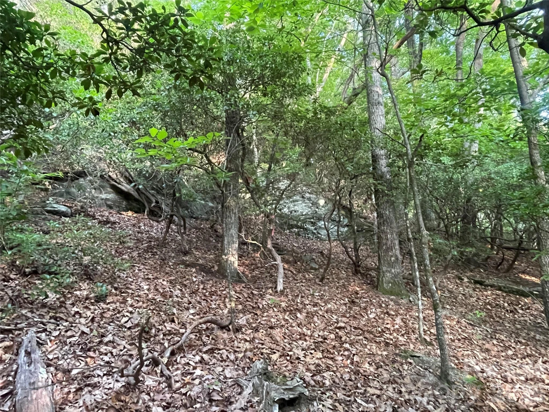 99999 Red Oak Forest Road #1418 - Photo 6