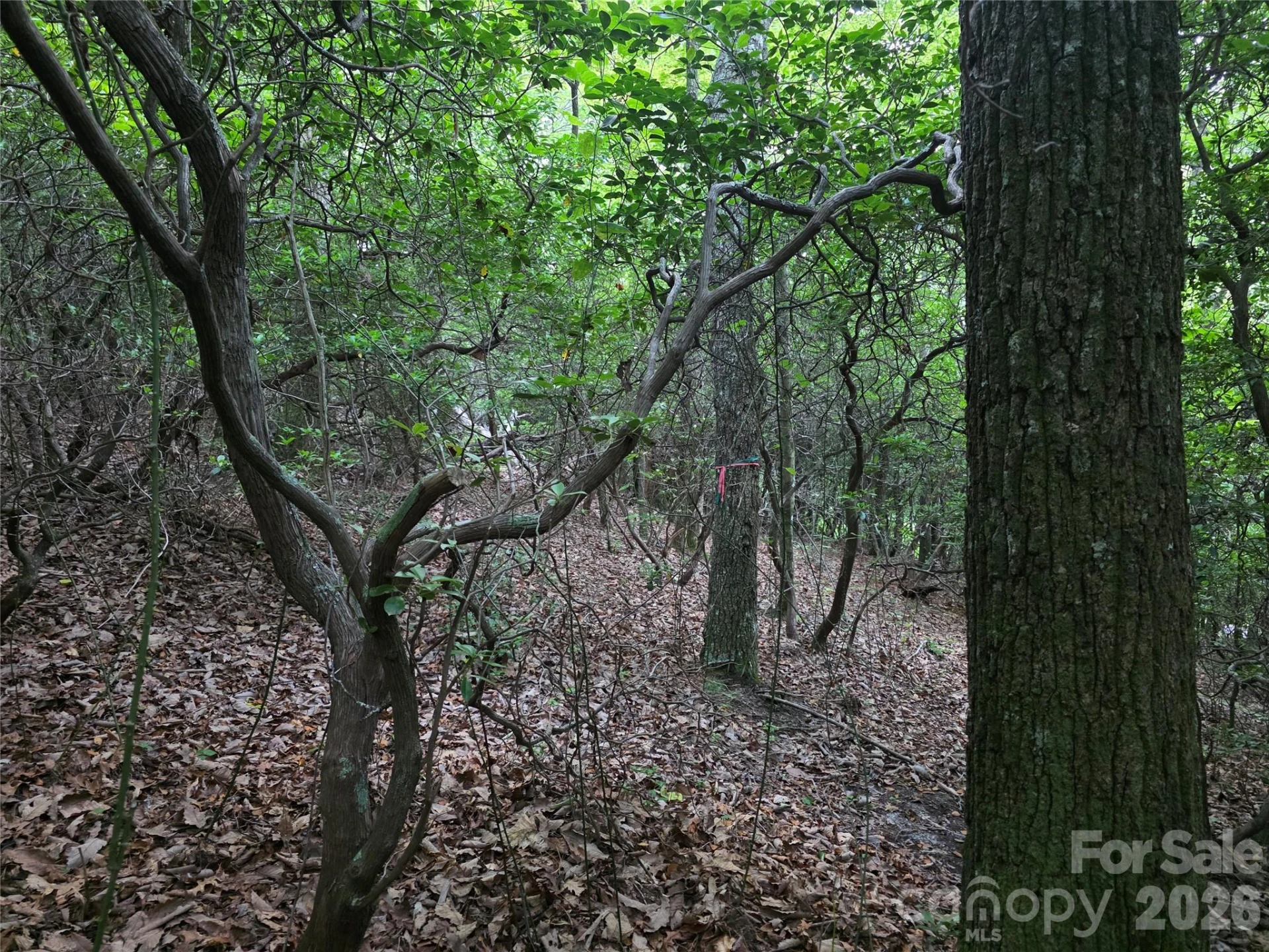 99999 Red Oak Forest Road #1418 - Photo 7