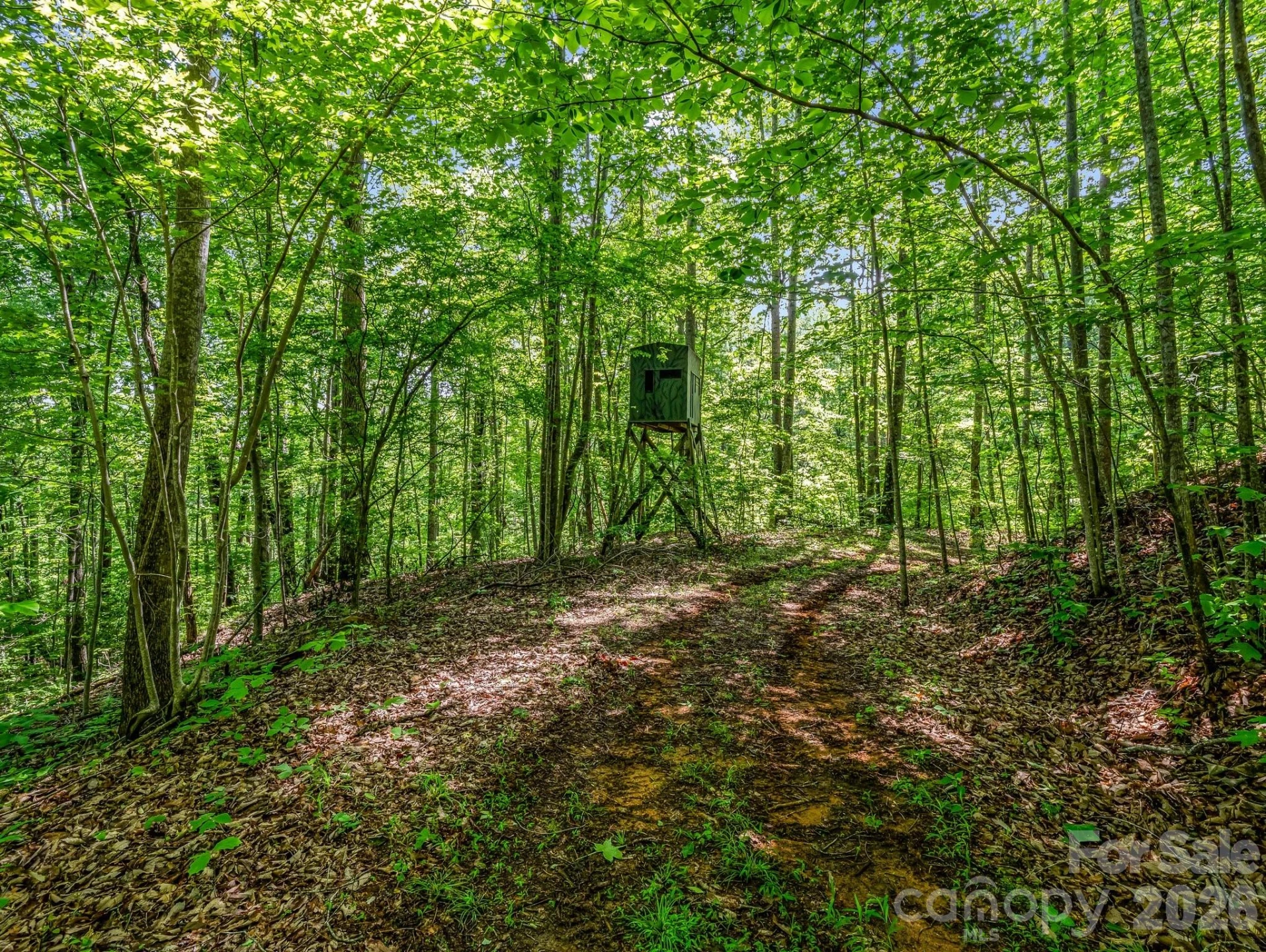 980 Mountain Forest Drive - Photo 35
