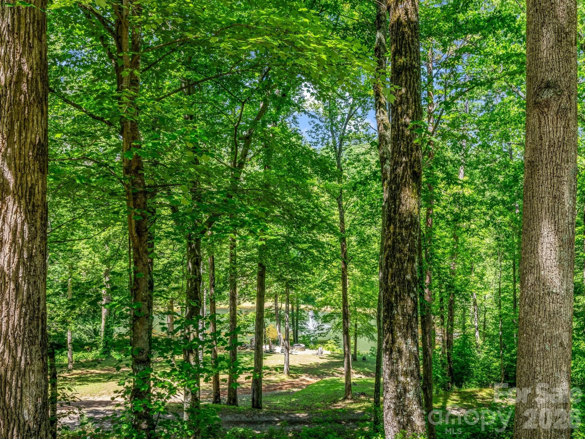 980 Mountain Forest Drive - Photo 37