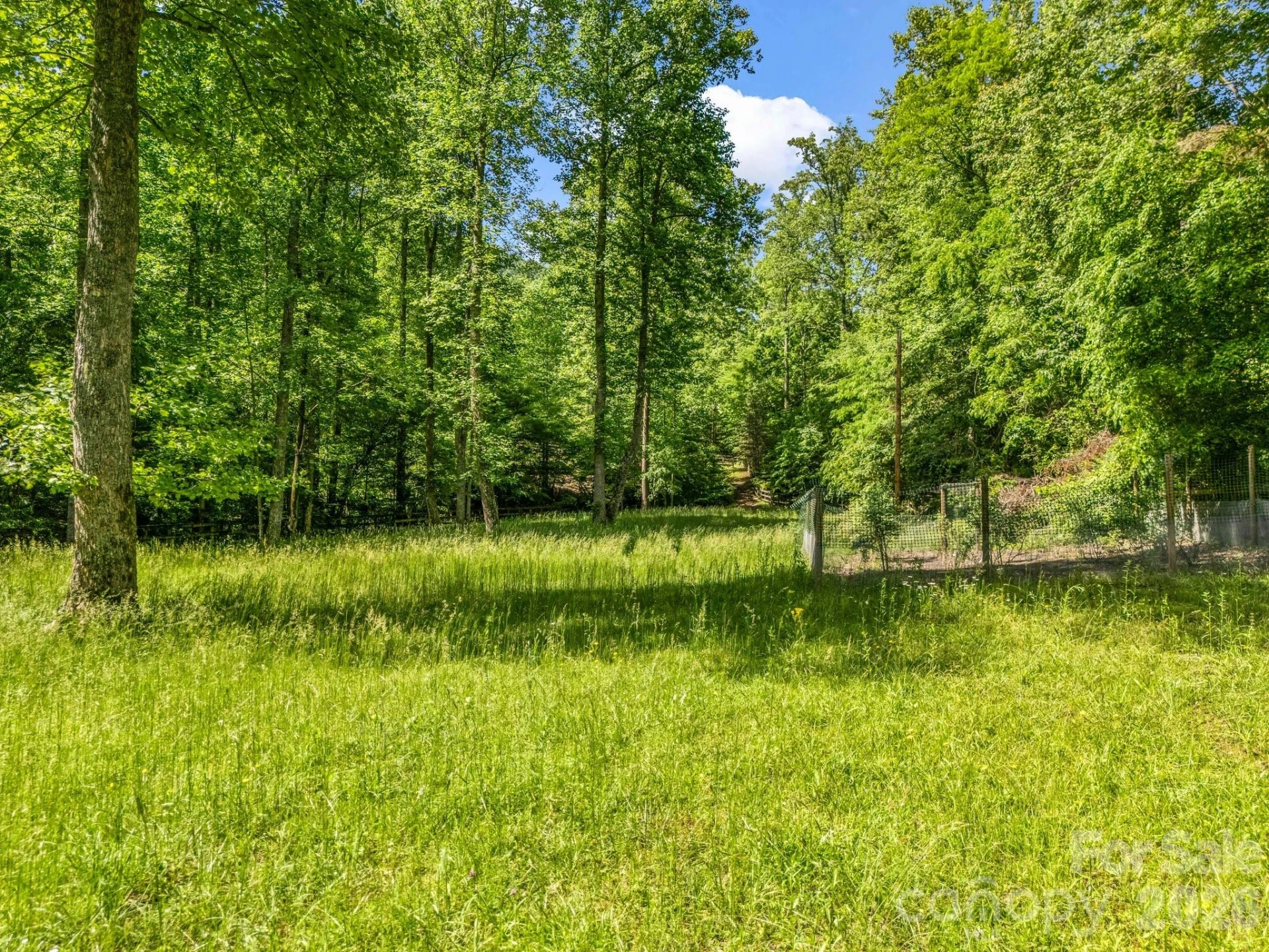 980 Mountain Forest Drive - Photo 39