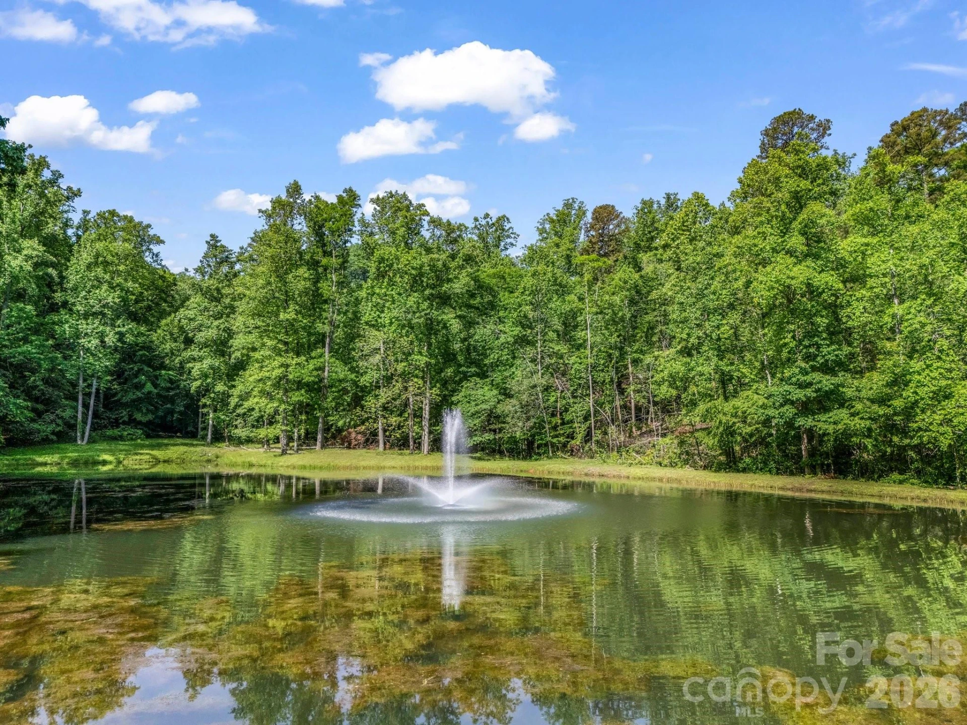 980 Mountain Forest Drive - Photo 5