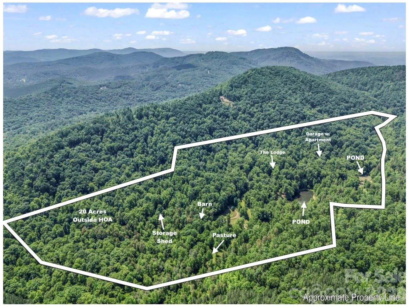 980 Mountain Forest Drive - Photo 10