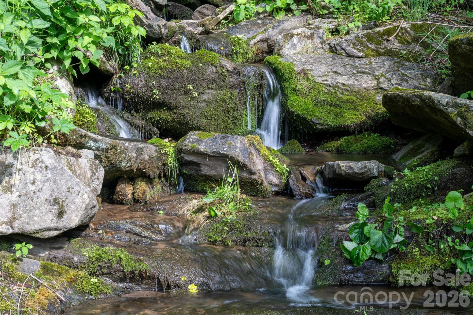 217 Natures Rest Lane - Photo 45