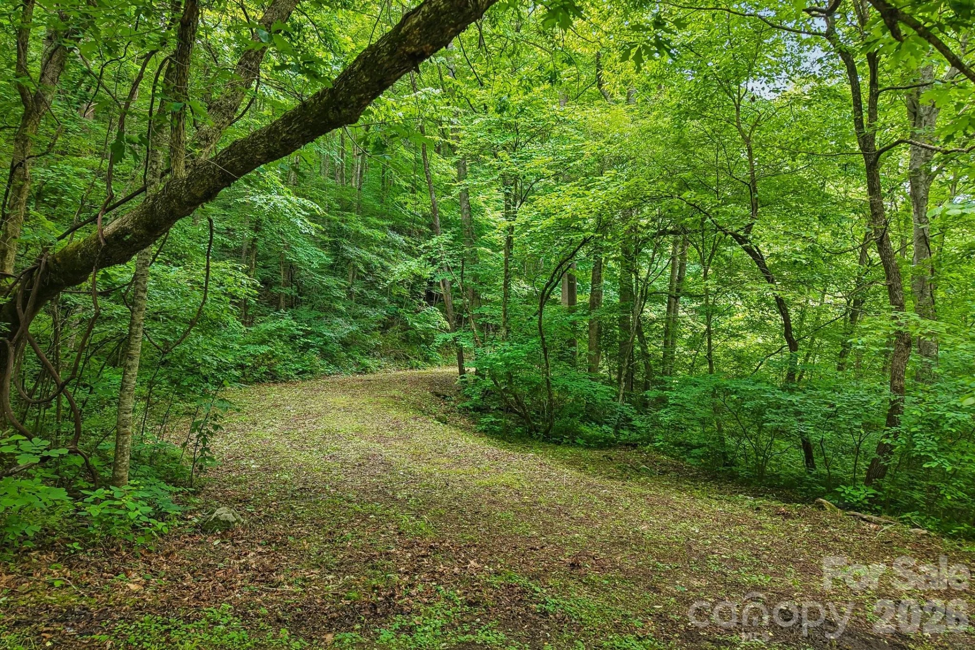 00 Sequoyah Drive - Photo 2