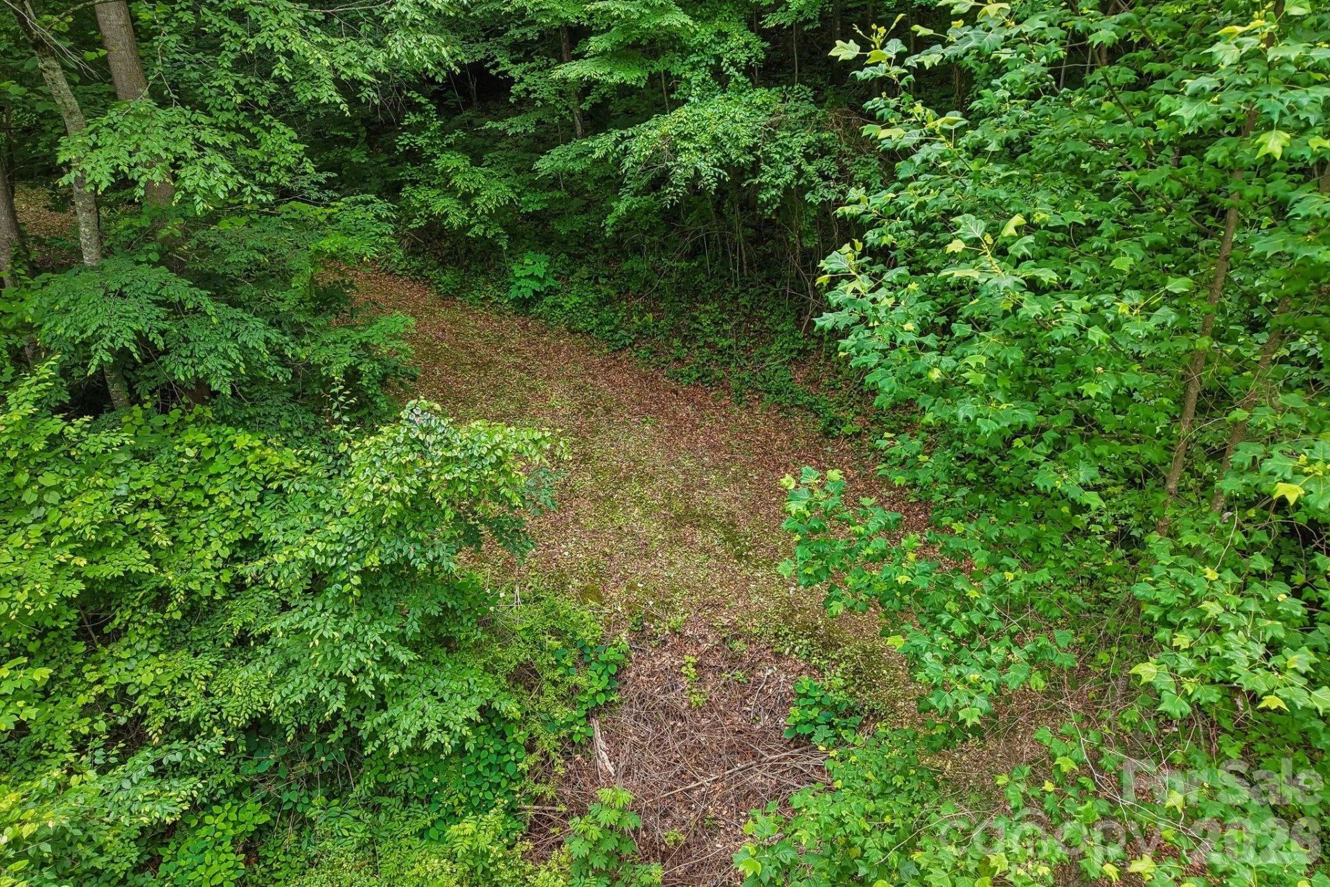 00 Sequoyah Drive - Photo 11