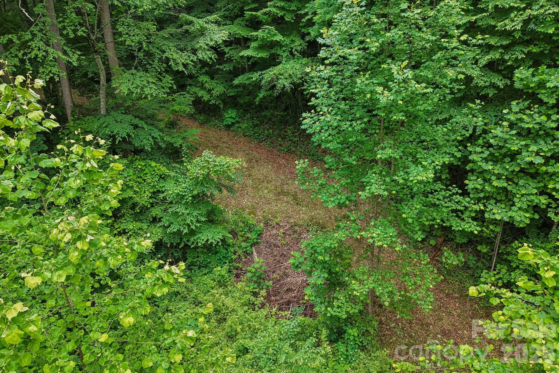 00 Sequoyah Drive - Photo 12
