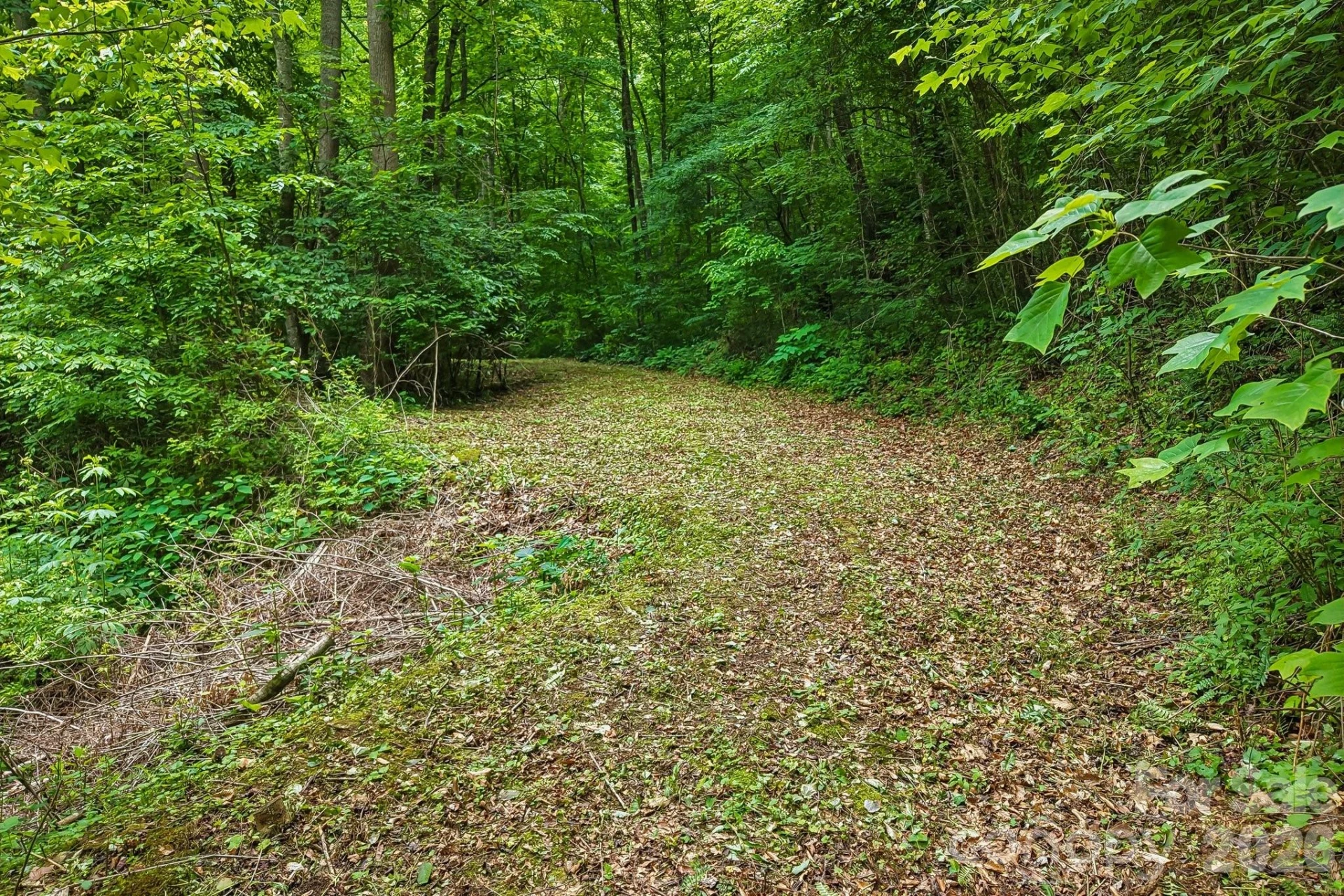 00 Sequoyah Drive - Photo 13