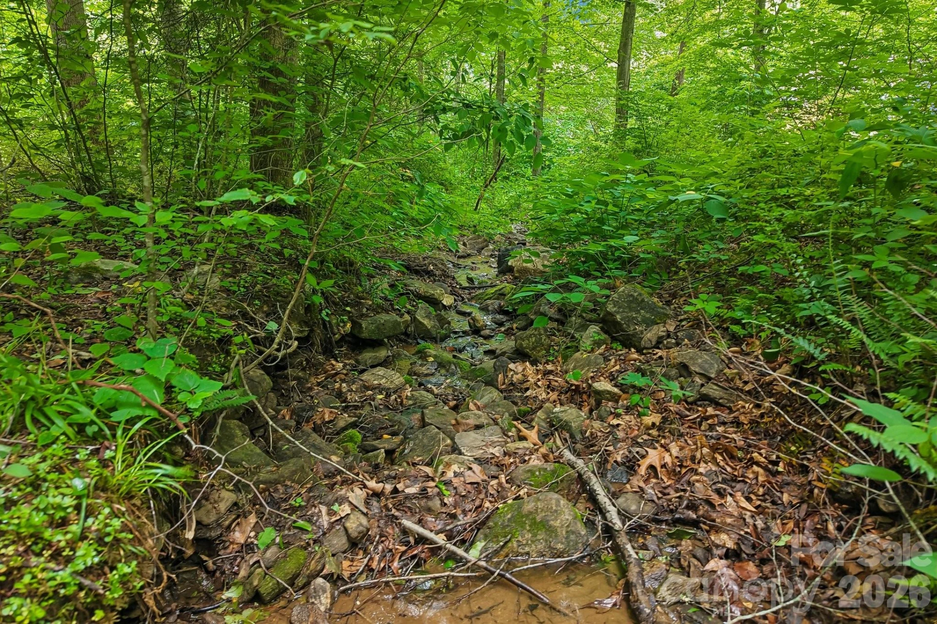 00 Sequoyah Drive - Photo 3