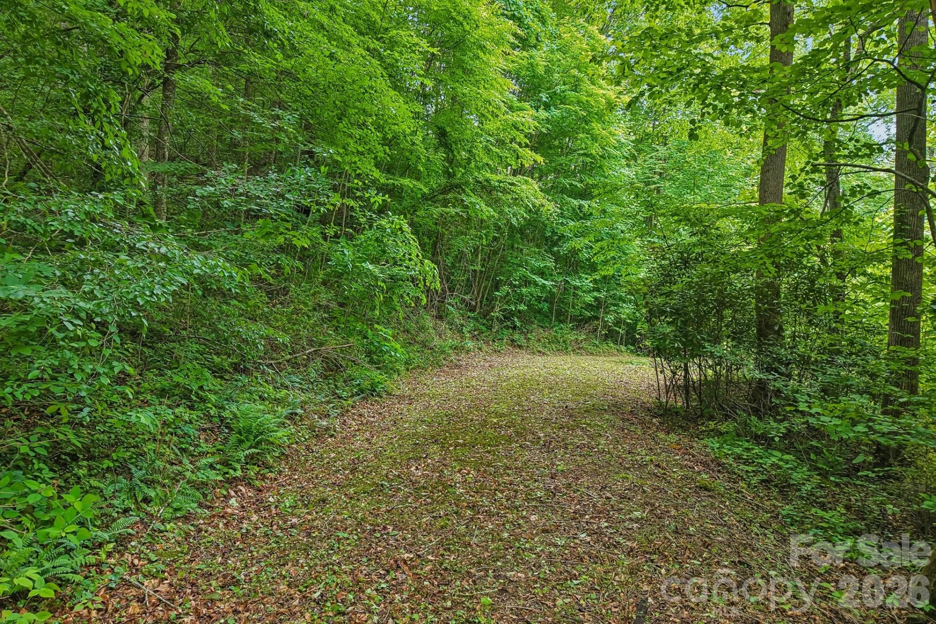 00 Sequoyah Drive - Photo 4