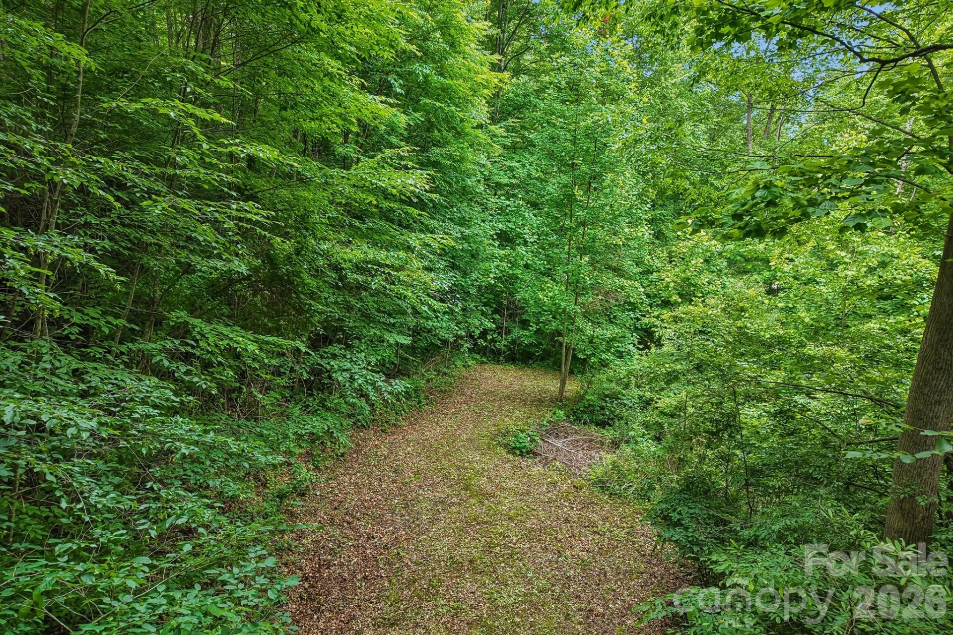 00 Sequoyah Drive - Photo 5