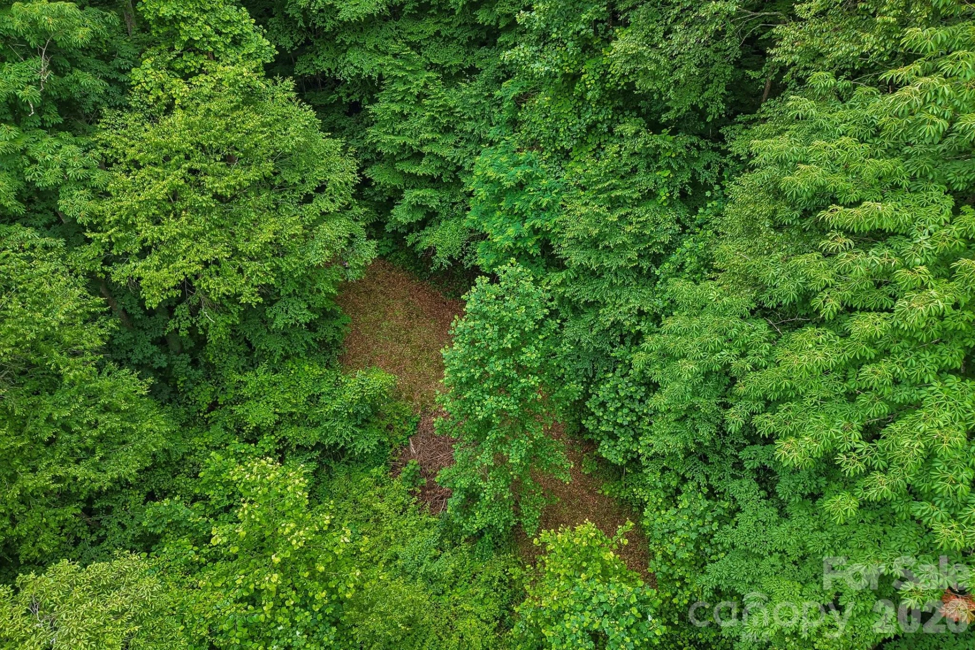 00 Sequoyah Drive - Photo 10