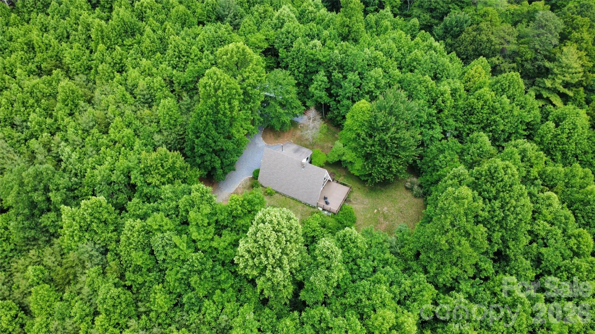 826 Shumont Road - Photo 8